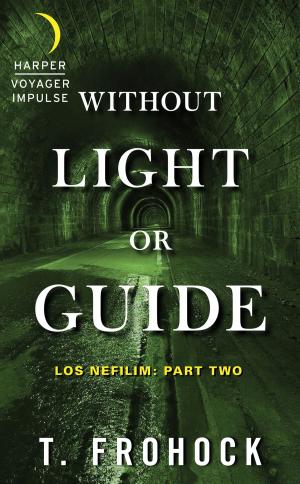 bigCover of the book Without Light or Guide by 