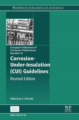 bigCover of the book Corrosion Under Insulation (CUI) Guidelines by 