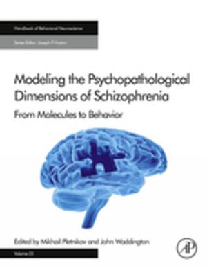 Cover of the book Modeling the Psychopathological Dimensions of Schizophrenia by Richard R Drake, Liam Mcdonnell