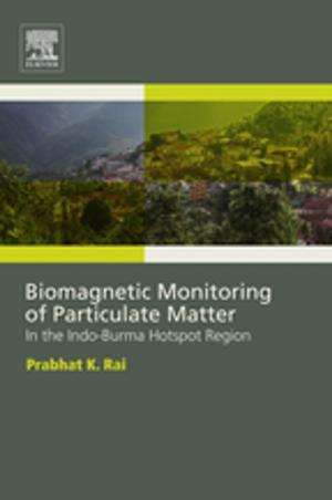 Cover of the book Biomagnetic Monitoring of Particulate Matter by 