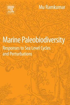 Cover of the book Marine Paleobiodiversity by Stephen Elliott