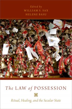 Cover of the book The Law of Possession by Dina Francesca Haynes, Naomi Cahn, Fionnuala Ní Aoláin