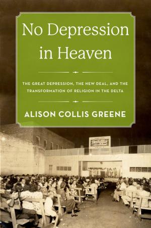 Cover of the book No Depression in Heaven by C. Dallett Hemphill