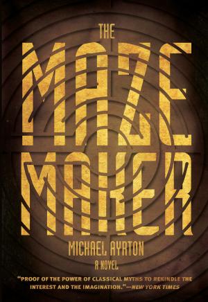Cover of the book The Maze Maker by Gisli Palsson