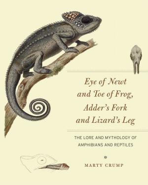 Cover of the book Eye of Newt and Toe of Frog, Adder's Fork and Lizard's Leg by Laurence Lampert