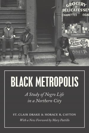 Cover of the book Black Metropolis by Mircea Eliade