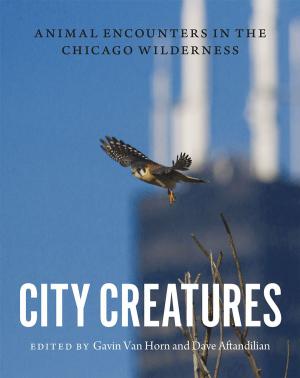Cover of the book City Creatures by Darren Hudson Hick