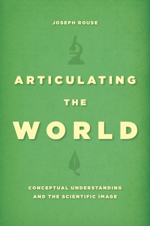 Book cover of Articulating the World