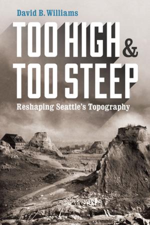 Cover of the book Too High and Too Steep by David Biespiel