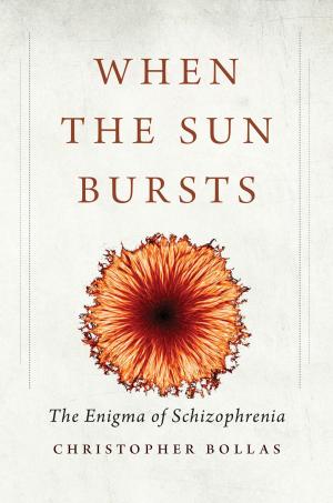 Cover of the book When the Sun Bursts by Professor Paul Kleber Monod