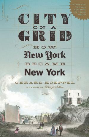 Cover of the book City on a Grid by Laura Moriarty