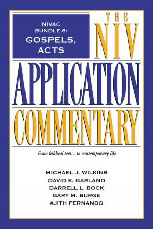 Cover of the book NIVAC Bundle 6: Gospels, Acts by Ruth Reid, Beth Wiseman, Kathleen Fuller