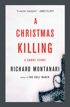 Cover of the book A Christmas Killing by Richard Lange