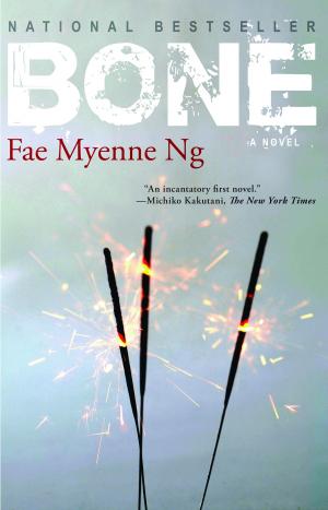 Cover of the book Bone by Barry K. Baines
