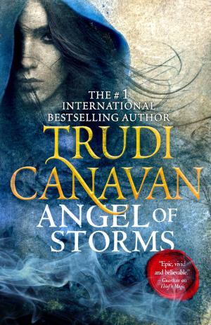 Cover of the book Angel of Storms by Tom Holt
