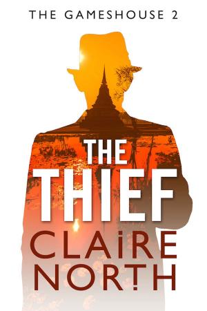 Cover of the book The Thief by Paul S Huggins