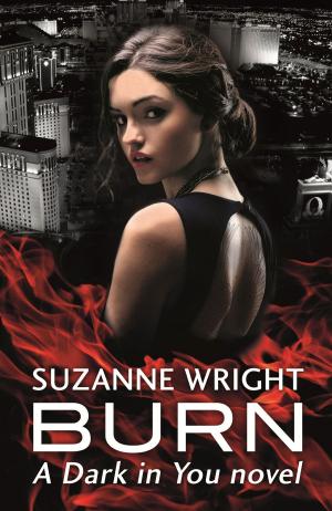 Cover of the book Burn by Anita Naik