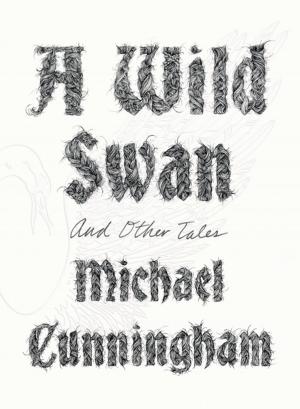 Book cover of A Wild Swan