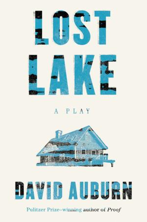 Cover of the book Lost Lake by Rich Cohen
