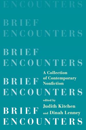 Cover of the book Brief Encounters: A Collection of Contemporary Nonfiction by Stephen W. Porges