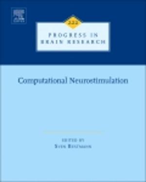 Cover of the book Computational Neurostimulation by Purusottam Jena, A. Welford Castleman, Jr. Jr.