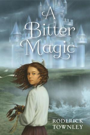 Cover of the book A Bitter Magic by Gary Paulsen