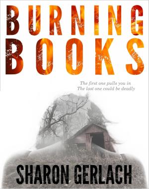 Book cover of Burning Books