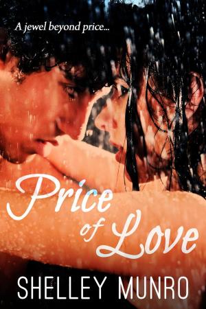 Cover of the book Price of Love by Molly Mirren