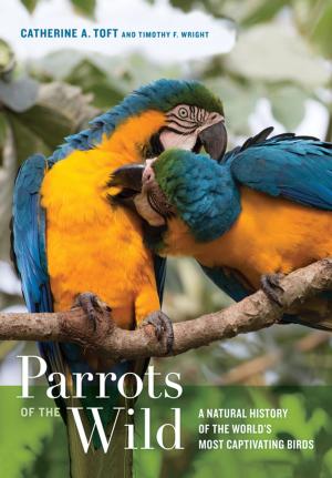 Book cover of Parrots of the Wild