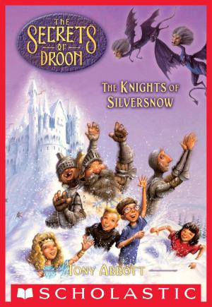 Cover of the book The Knights of Silversnow (The Secrets of Droon #16) by J. Gertori