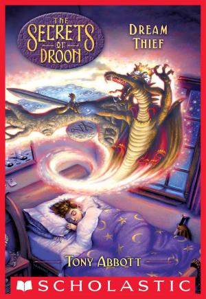 Cover of the book Dream Thief (The Secrets of Droon #17) by Stacey Jay