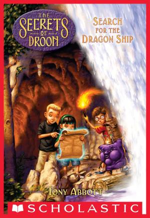 Cover of the book Search for the Dragon Ship (The Secrets of Droon #18) by Norman Bridwell