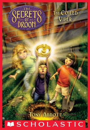Cover of the book The Coiled Viper (The Secrets of Droon #19) by Barbara Laban