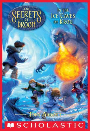 Book cover of In the Ice Caves of Krog (The Secrets of Droon #20)