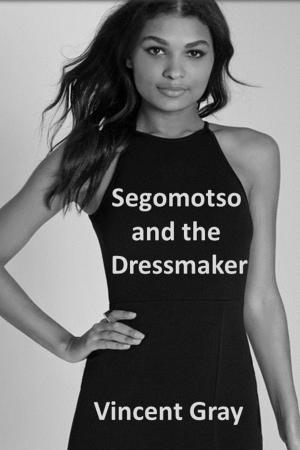 Cover of the book Segomotso and the Dressmaker by William De Morgan
