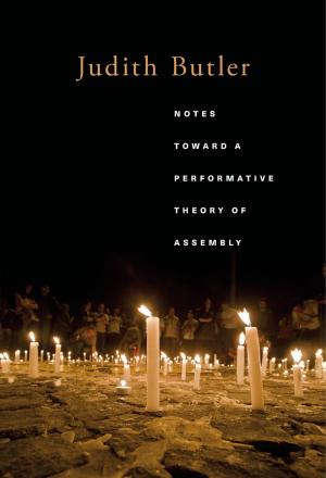 Cover of the book Notes Toward a Performative Theory of Assembly by David M. Kotz