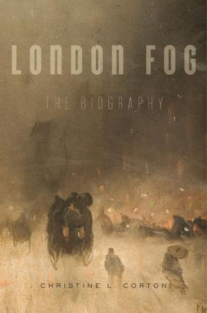 Cover of the book London Fog by Avner Baz