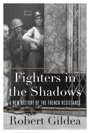 Cover of the book Fighters in the Shadows by Edward N. Luttwak