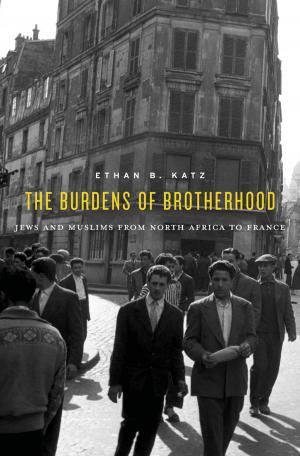 Cover of the book The Burdens of Brotherhood by Harvey Cox
