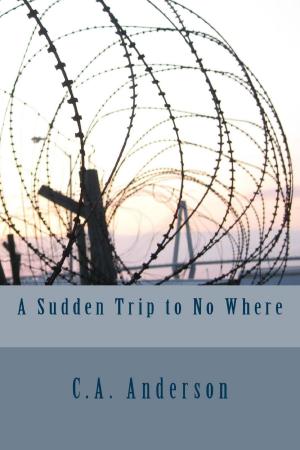 Cover of the book A Sudden Trip to No Where by Dan Fenton