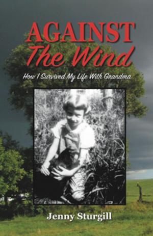 Cover of the book Against the Wind by Amy Krouse Rosenthal
