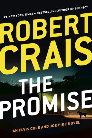 Cover of the book The Promise by Niall Ferguson
