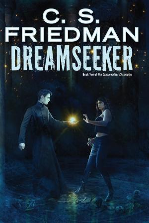 Book cover of Dreamseeker