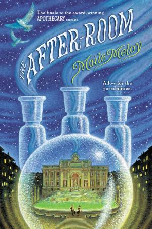 Cover of the book The After-Room by Elisa Carbone