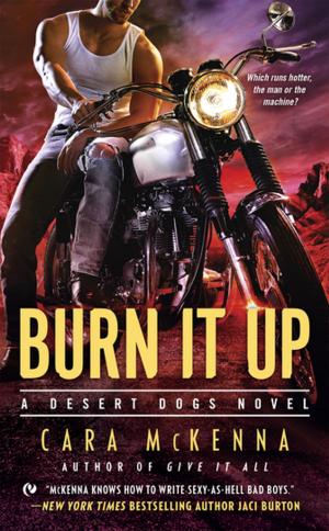 Cover of the book Burn It Up by Aaron Dignan