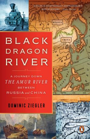 Cover of the book Black Dragon River by Shobhaa De
