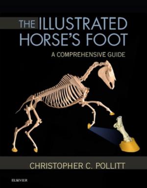 Cover of the book The Illustrated Horse's Foot - E-Book by Frank H. Netter, MD