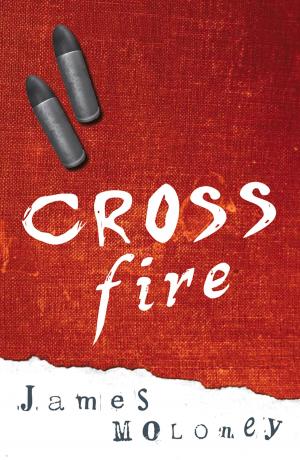 Cover of the book Crossfire by Bunty Avieson