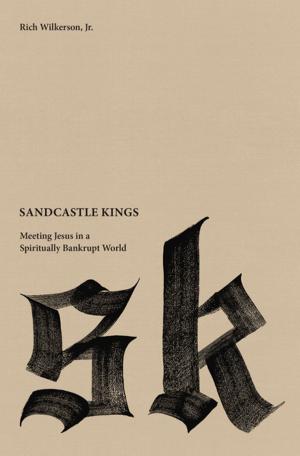 bigCover of the book Sandcastle Kings by 