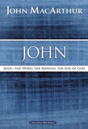 Cover of the book John by John Maxwell